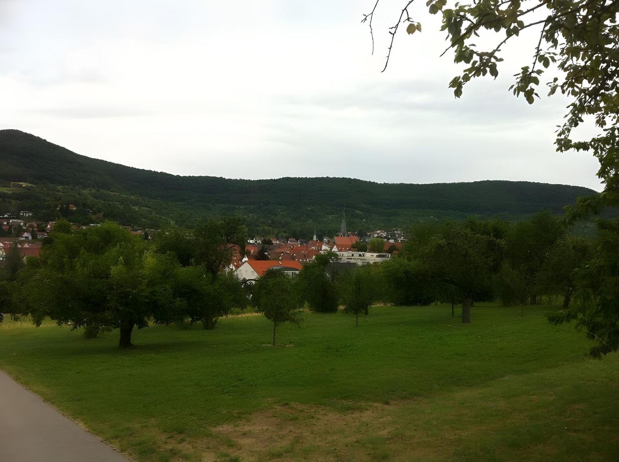 Ferienwohnung Holder Dettingen an der Erms Esterno foto